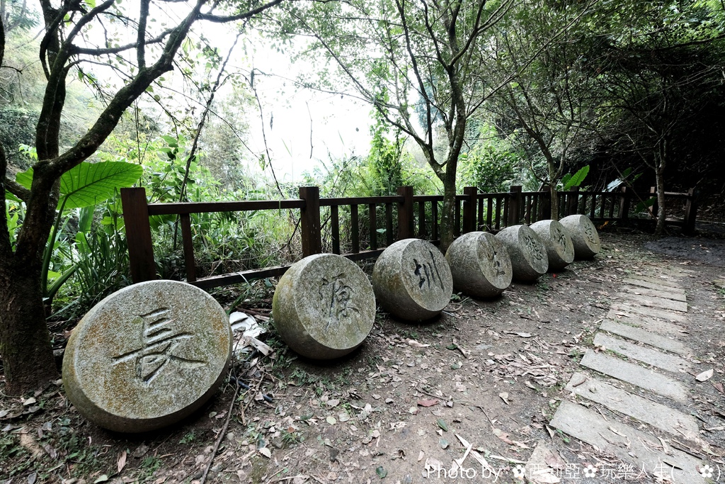 南投鹿谷鄉｜小半天長源圳古道(長源圳生態步道)  竹林般美景