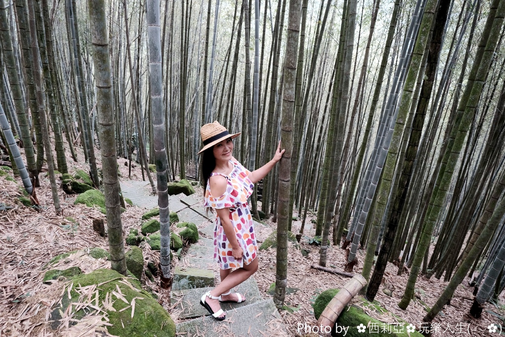 南投鹿谷鄉｜小半天長源圳古道(長源圳生態步道)  竹林般美景