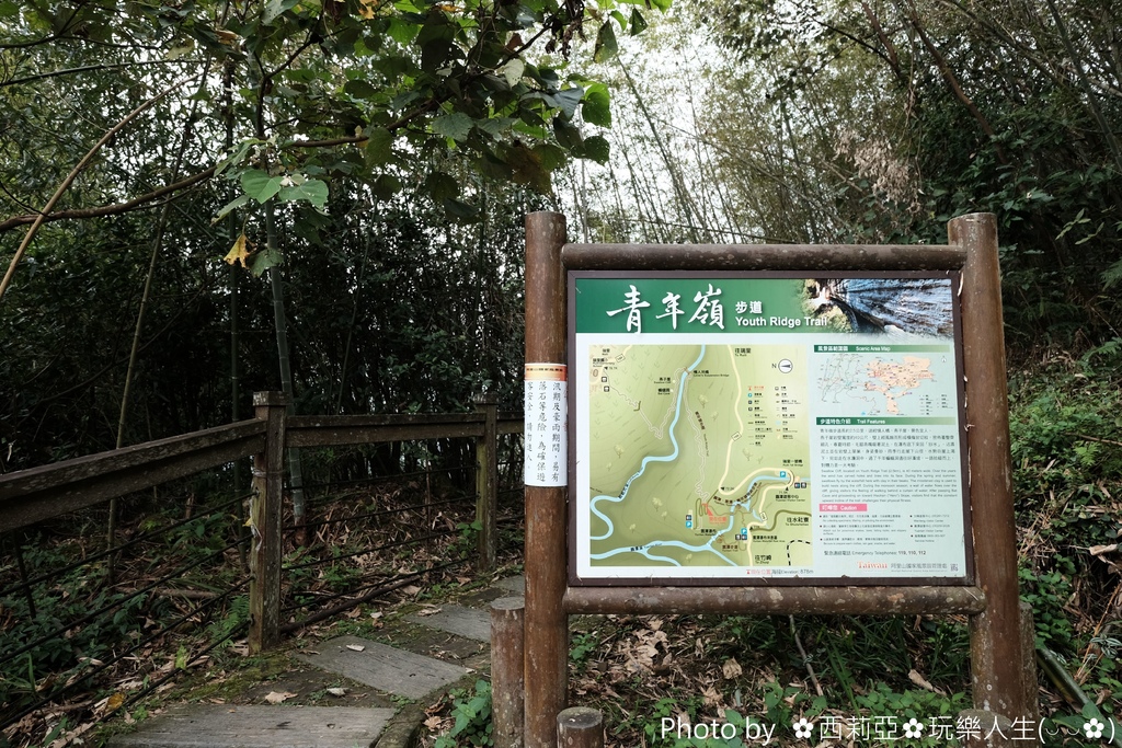 嘉義梅山鄉|青年嶺步道有著號稱台版敦煌石窟的『燕子崖、千年蝙蝠洞』,大自然力量雕塑出的峭壁、石洞,絕對是體驗自然野趣的好去處!西莉亞玩樂人生 02.JPG
