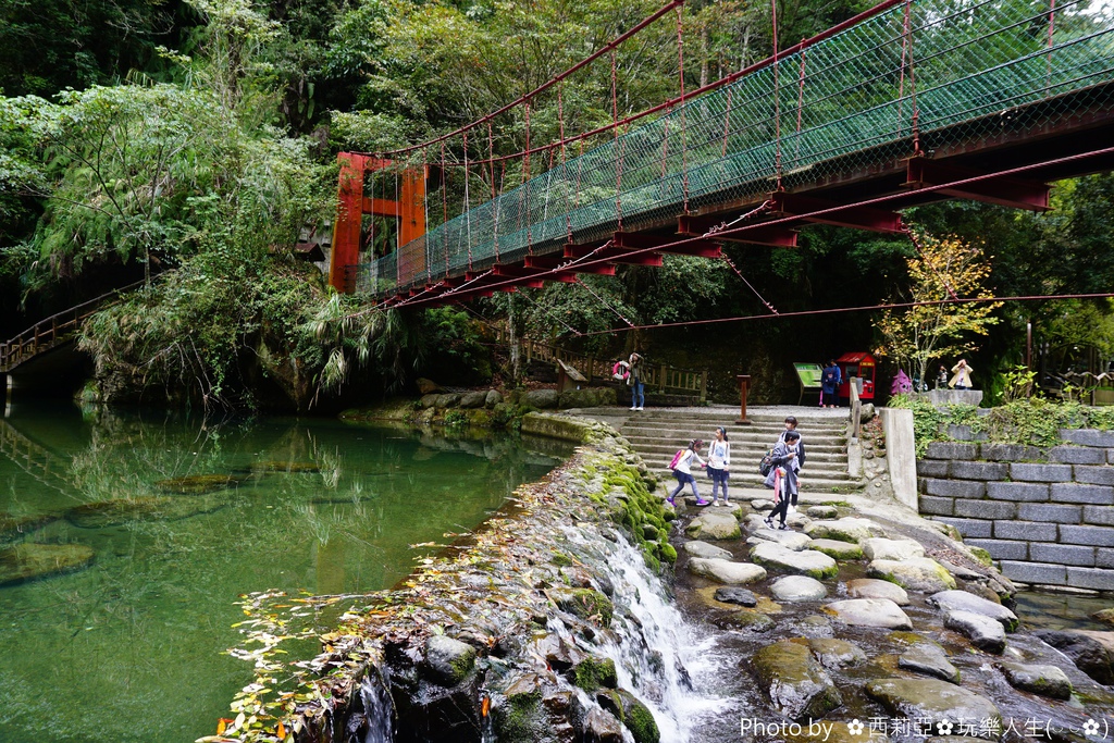 南投竹山鎮｜杉林溪生態森林渡假園區 絕美飛瀑鐘乳石洞奇景 杉