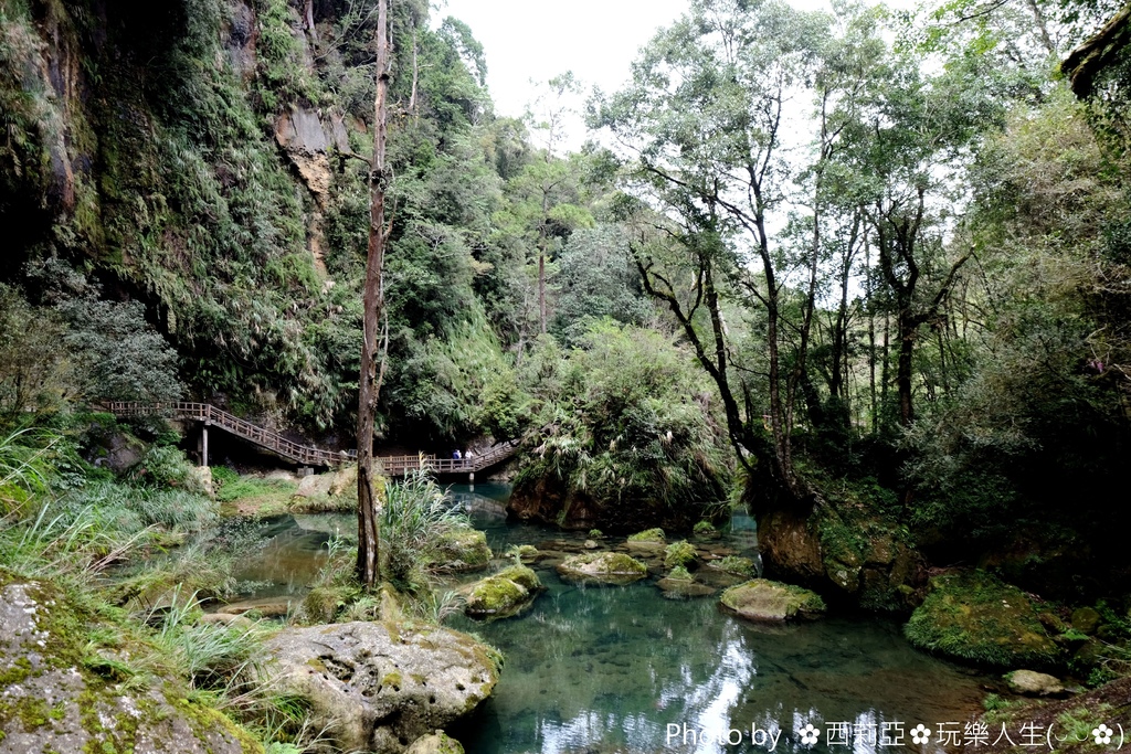 南投竹山鎮｜杉林溪生態森林渡假園區 絕美飛瀑鐘乳石洞奇景 杉