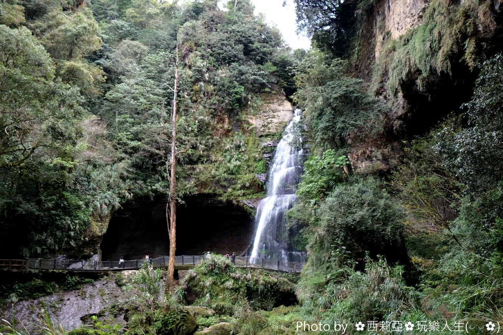 南投竹山鎮｜杉林溪生態森林渡假園區 絕美飛瀑鐘乳石洞奇景 杉