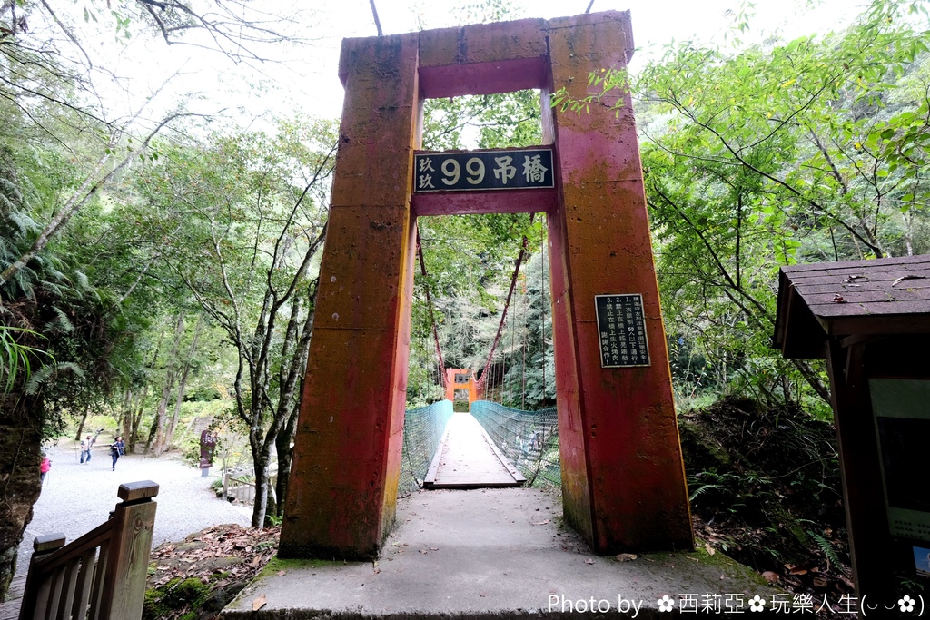 南投竹山鎮｜杉林溪生態森林渡假園區 絕美飛瀑鐘乳石洞奇景 杉