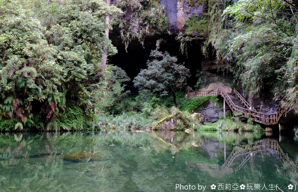 南投竹山鎮｜杉林溪生態森林渡假園區 絕美飛瀑鐘乳石洞奇景 杉