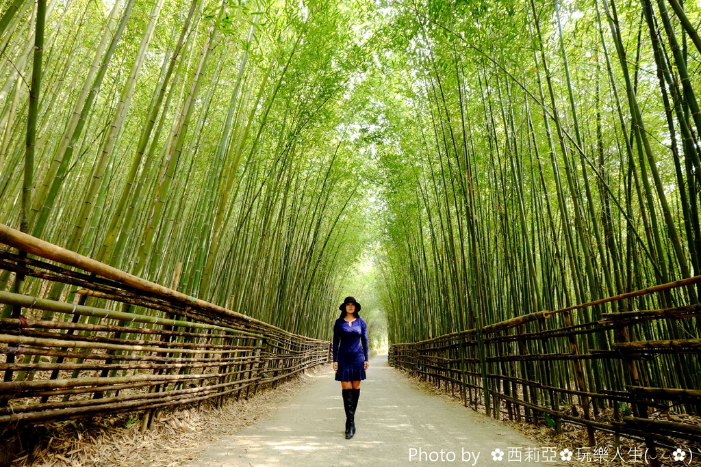 苗栗 泰安鄉 這裡 絕對可以媲美京都嵐山竹林 就讓我們一起來探尋充滿綠色浪漫的 台版嵐山竹林隧道 小小秘境吧 西莉亞玩樂人生 苗栗 泰安鄉 這裡 絕對可以媲美京都嵐山竹林 就讓我們一起來探尋充滿綠色浪漫的 台版嵐山竹林隧道 小小秘境吧 西莉亞玩樂人生