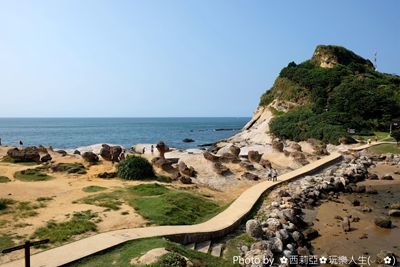 嘉義番路鄉｜二延平步道 嘉義阿里山雲海 夕照 高山茶園