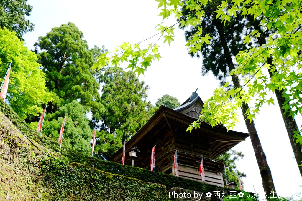 【四國德島縣。阿南市】四國靈場第２１番札所舍心山『太龍寺』，