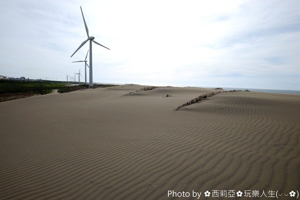 桃園 觀音區 哇嗚 猶如台版鳥取砂丘般壯觀畫面 海岸線上綿延數公里的沙漠景觀 草漯沙丘 特殊自然地景 值得旅人探尋 輕旅行 桃園 觀音區 哇嗚 猶如台版鳥取砂丘般壯觀畫面 海岸線上綿延數公里的沙漠景觀 草漯沙丘 特殊自然地景 值得旅人探尋 輕旅行