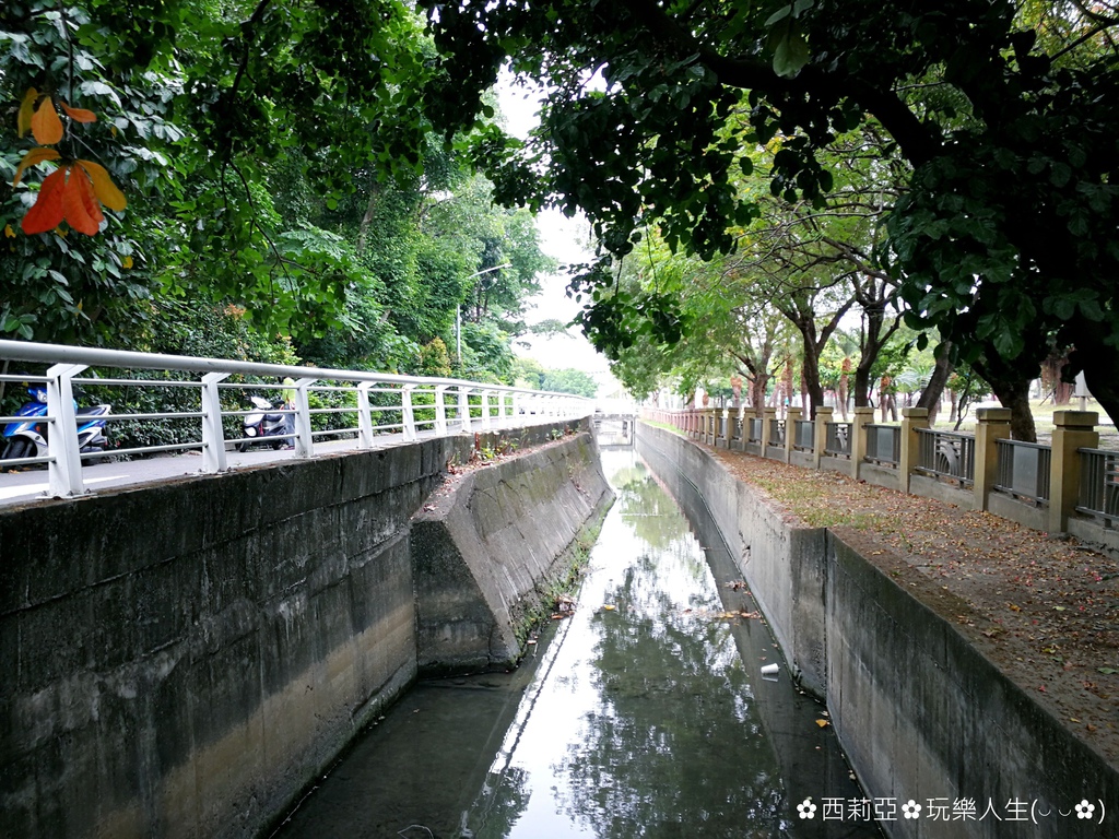 高雄。景點攻略篇｜玩轉高雄行程懶人包 搭乘高捷輕軌 騎乘單車