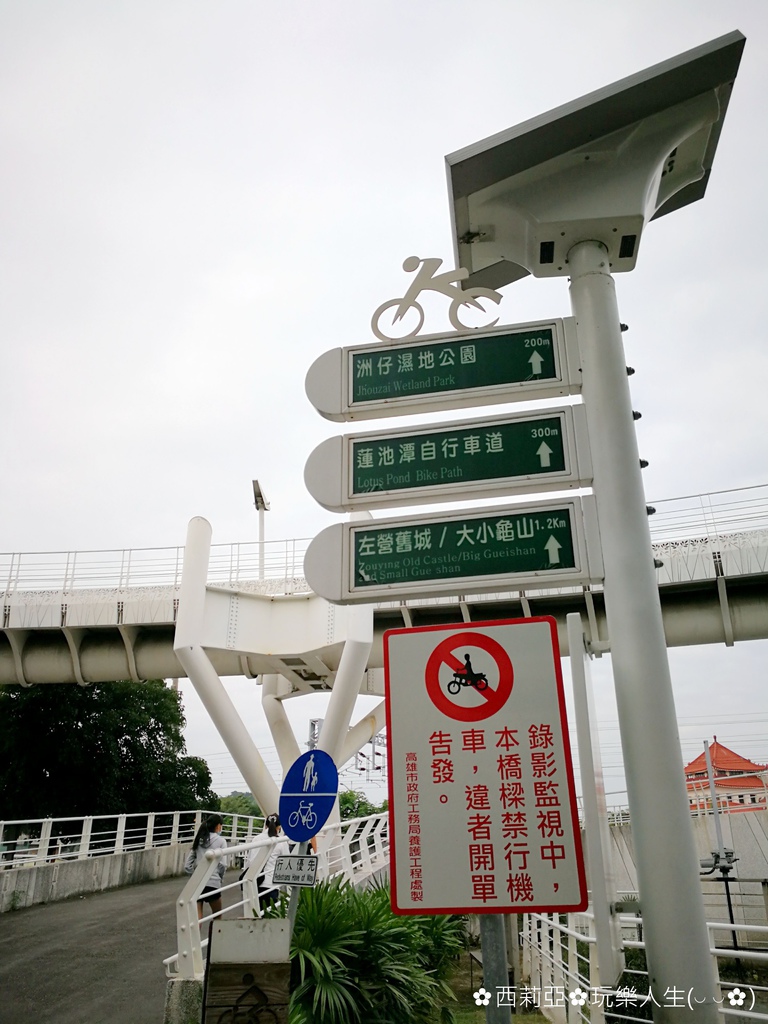 高雄 左營區 高雄捷運 生態園區站 玩什麼 全國首座以台灣原生植物為主題的綠化公園 原生植物園 讓我們進入一個完整而生動的生命成長故事 輕旅行 高雄 左營區 高雄捷運 生態園區站 玩什麼 全國首座以台灣原生植物為主題的綠化公園 原生植物園 讓我們進入一個完整而生動的生命成長故事 輕旅行