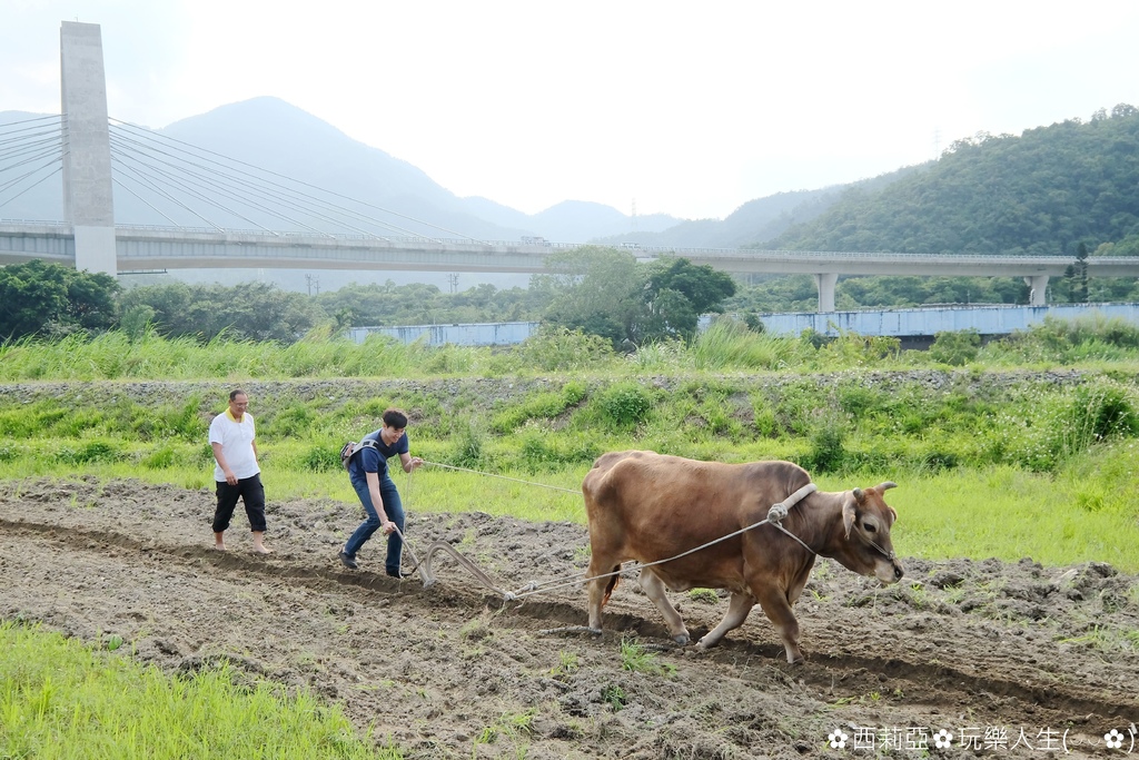 宜蘭輕旅行說走就走，文化體驗深度旅遊，帶你走遍南澳東岳部落、