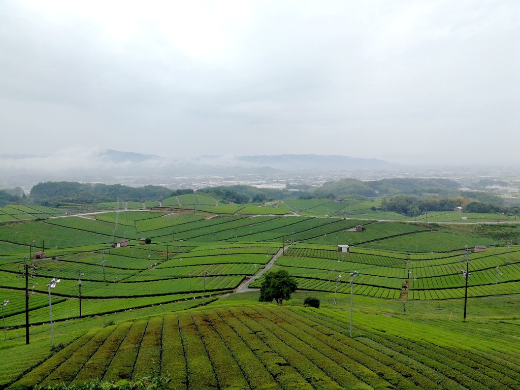 讓我們從 北九州福岡縣 出發 盡情徜徉山海美景的休日私旅自駕自由行