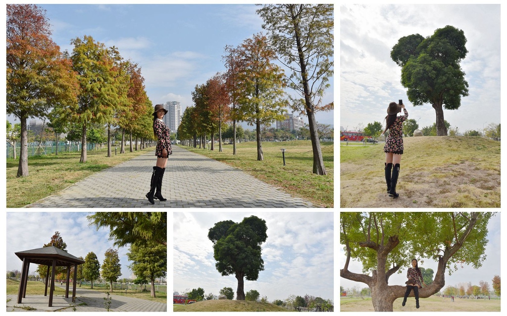 【台中。北屯區】網美打卡新亮點『南興公園』逗趣米奇樹、落羽松大道都是不可錯過美好印象