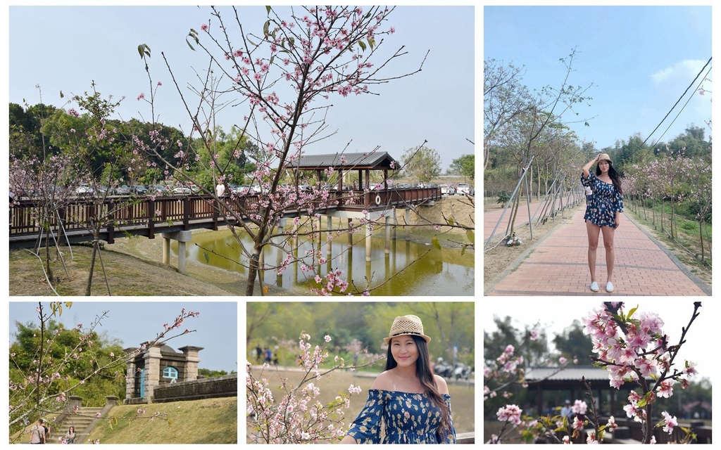 台南 山上區 南部賞櫻 原台南水道 淨水地區 歐式古蹟與櫻花邂逅 花況108 3 01 西莉亞玩樂人生 欣傳媒旅遊頻道