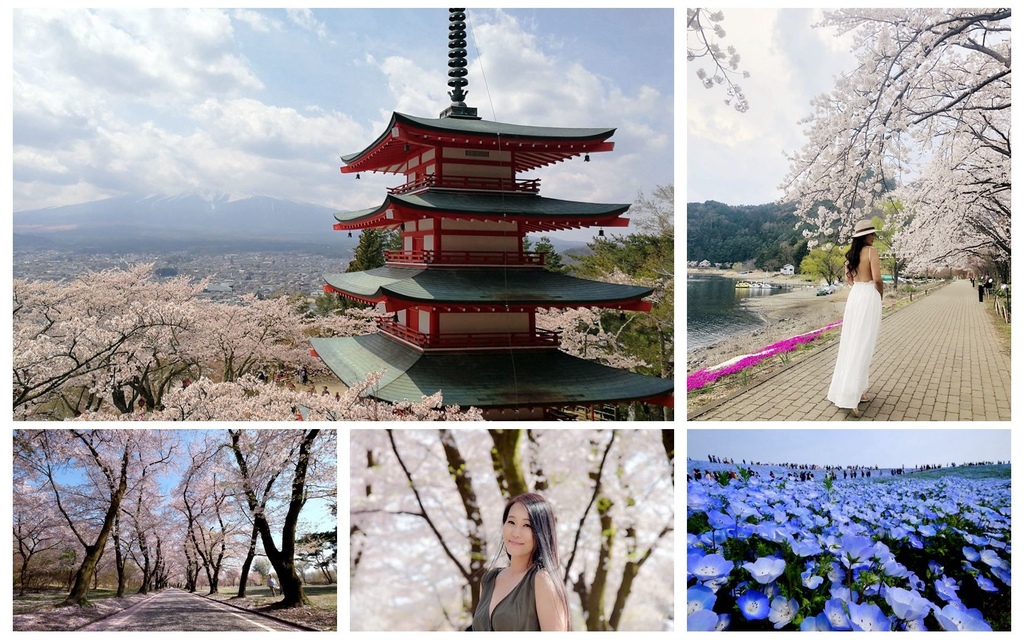 東京自由行五天四夜行程整理/新倉山淺間公園/河口湖/赤城南面千本櫻/常陸海濱公園/絕景公開