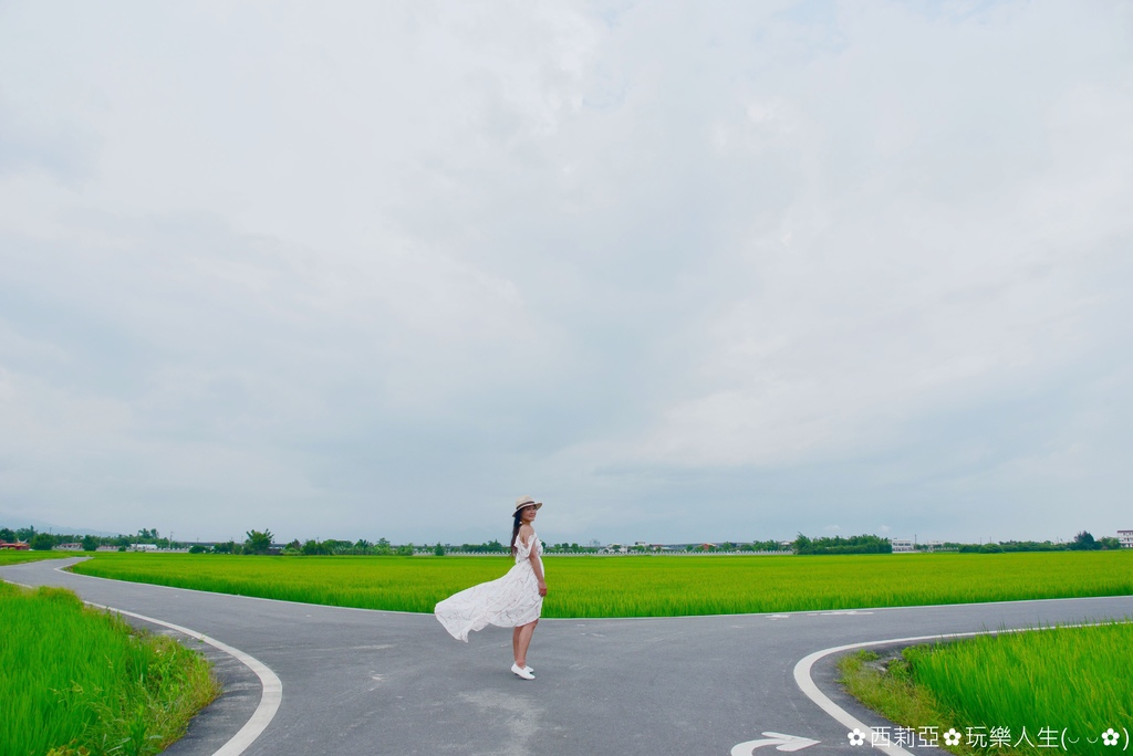 【宜蘭。冬山鄉】三奇伯朗大道 / 三奇村「稻間美徑」翠綠稻浪