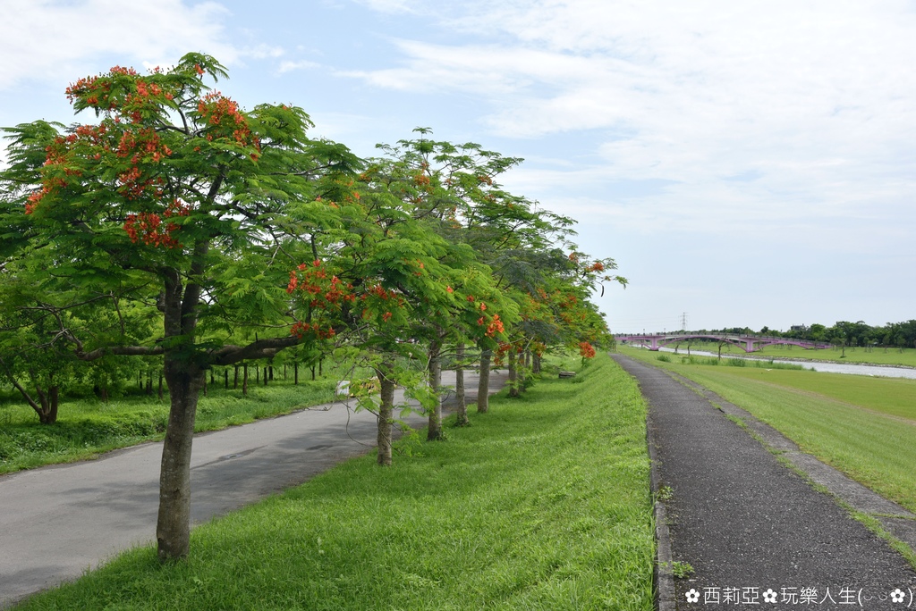 【宜蘭。三星鄉】安農溪分洪堰風景區 / 安農溪分洪堰水門 /