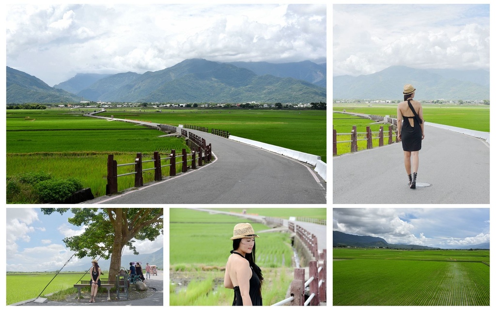 【台東。池上鄉】池上天堂路/伯朗大道/池上金城武樹/IG網美打卡景點/大觀亭/無敵山景