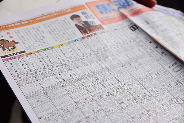東京玩樂新體驗 大井賽馬場 Tck 根本就是闔家光臨大型遊樂園 賽馬投注攻略 B級美食推薦 優惠票券與交通方式 東京單軌電車