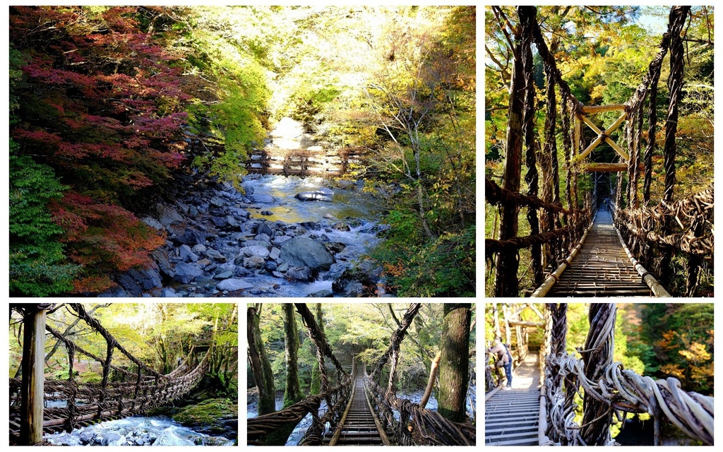 【德島縣。三好市】日本著名三大奇橋/奥祖谷二重かずら橋/奧祖谷二重蔓橋/祖谷秘境/男女橋