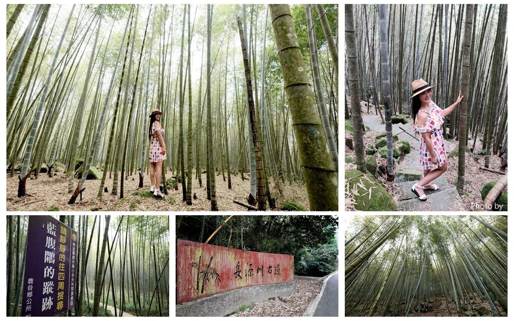 南投 鹿谷鄉 小半天秘境 小半天長源圳古道 長源圳生態步道 石馬公園櫻花 Ig打卡景點 欣傳媒