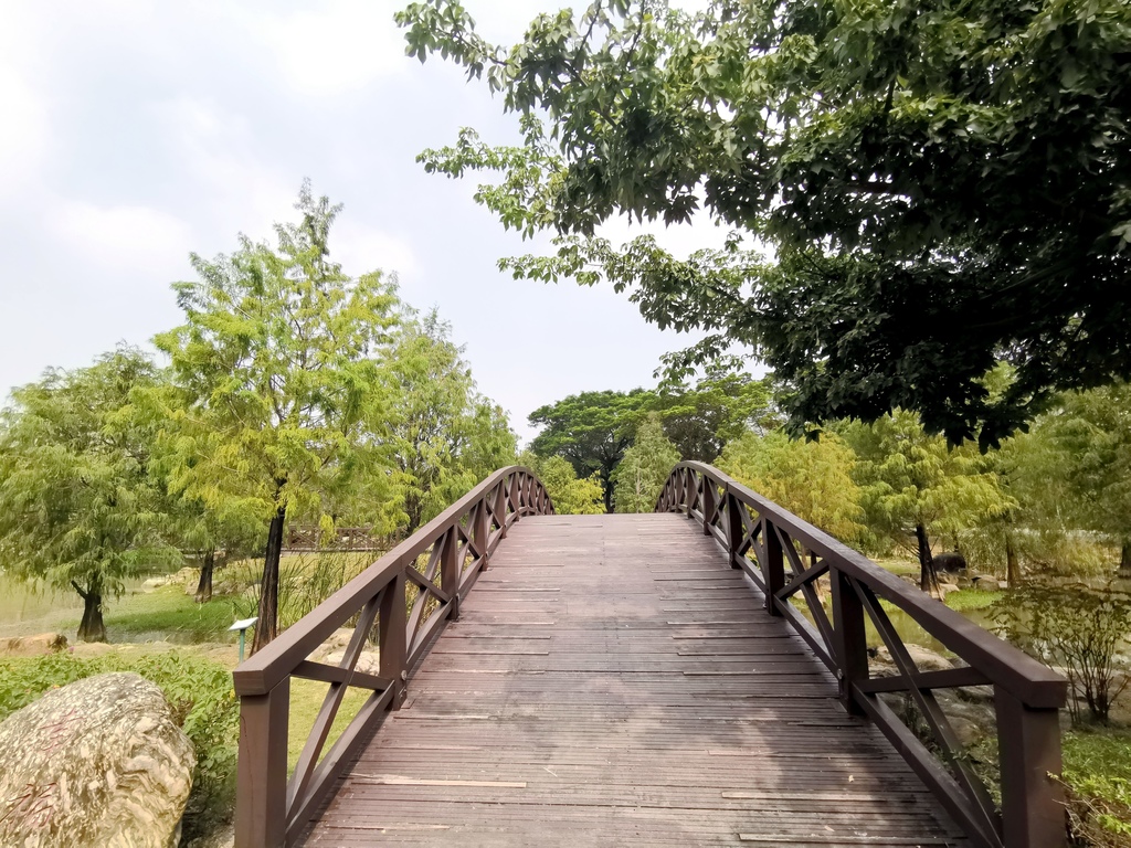 【高雄。鼓山區】高雄捷運凹子底站 / 凹子底森林公園 / 高