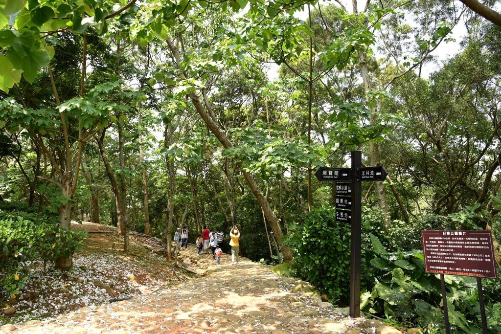 苗栗銅鑼鄉｜臺灣客家文化館/夏雪地景藝術/漸層夢幻裝置藝術/