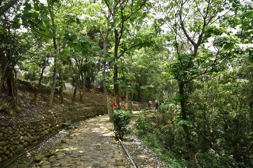 苗栗銅鑼鄉｜臺灣客家文化館/夏雪地景藝術/漸層夢幻裝置藝術/