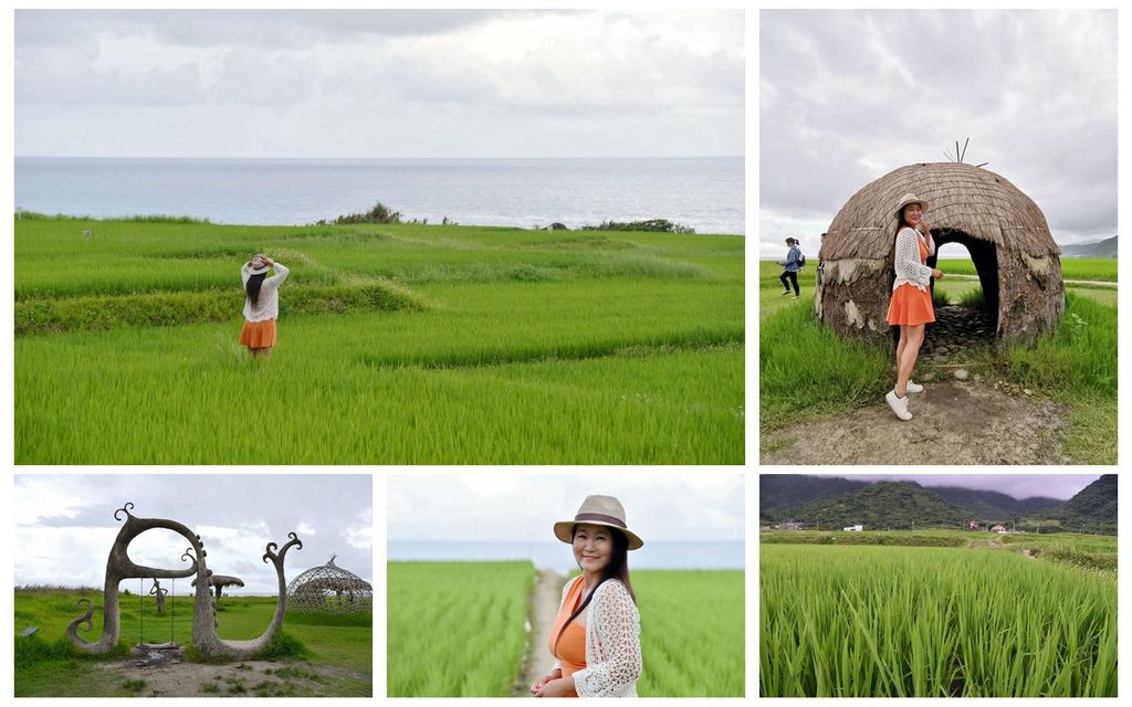│花蓮。豐濱鄉│新社梯田/太平洋左岸海稻田/全台唯一臨海稻田美景/夢幻盪鞦韆/新社部落