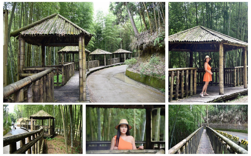 雲林古坑,五元二角亭社區,草嶺風景區,孟宗竹林,木馬古道,石壁社區,杉林步道,雲林,古坑,犛寮園區,竹林,秘境,涼亭,日式