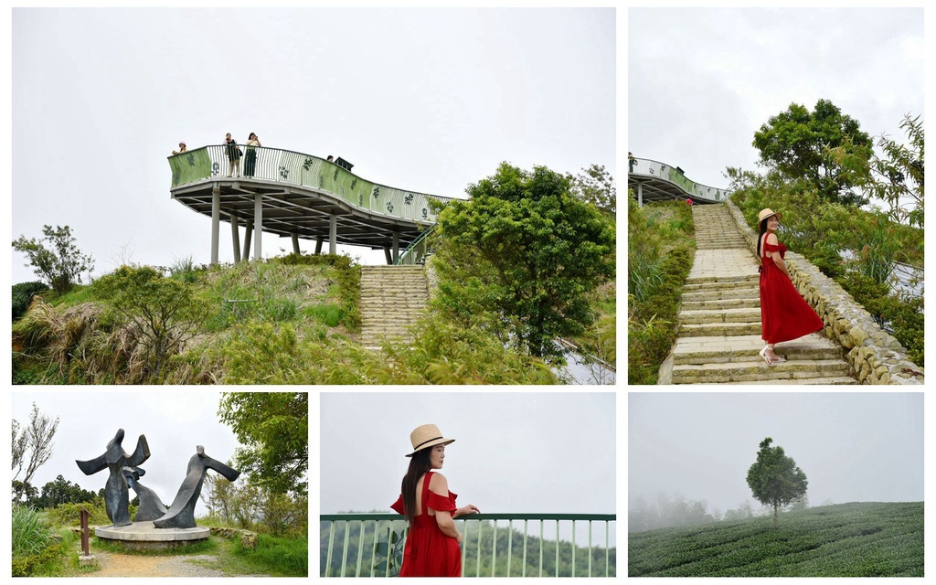雲嶺之丘,草嶺觀景台,五元二角,杉林步道,茶園,嘉義,南投,雲林,古坑,草嶺,步道,景點,親子,踏青,觀景台,三角點,雲海,日出,古道