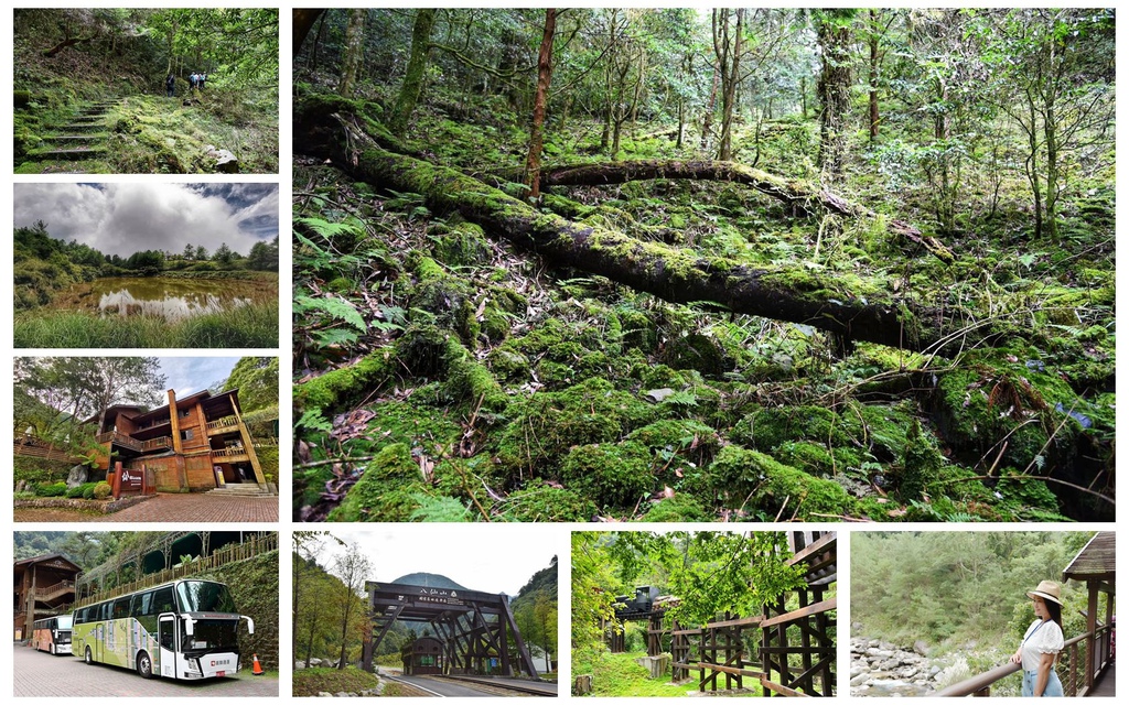 幸福 森在其中天天行巴士 一 二日行程推薦八仙山 大雪山國家森林遊樂區台中商旅八仙山莊 欣傳媒 幸福 森在其中天天行巴士 一 二日行程推薦八仙山 大雪山國家森林遊樂區台中商旅八仙山莊 欣傳媒