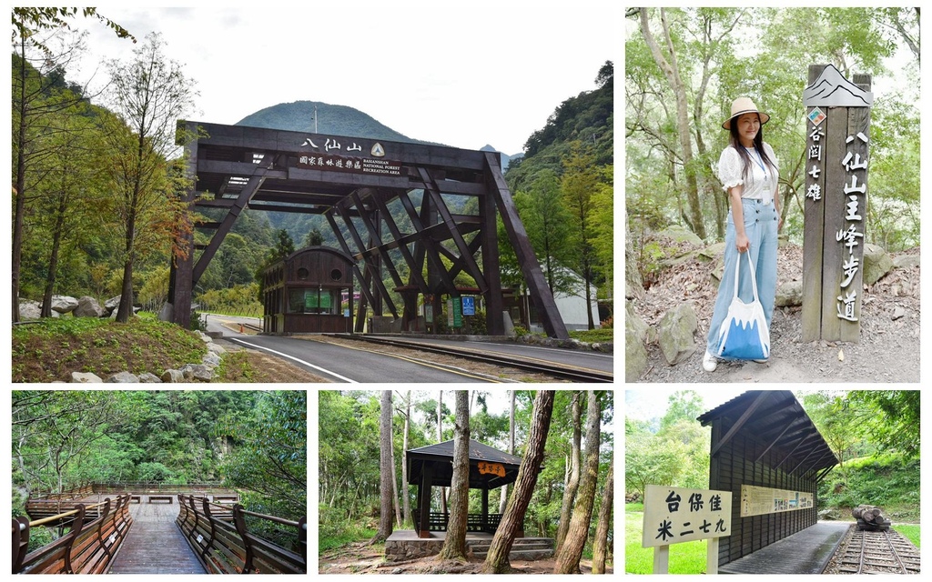 台中和平區|八仙山國家森林遊樂區 天籟、竹林步道 佳保台車站 安心旅遊 森林巴士天天出發