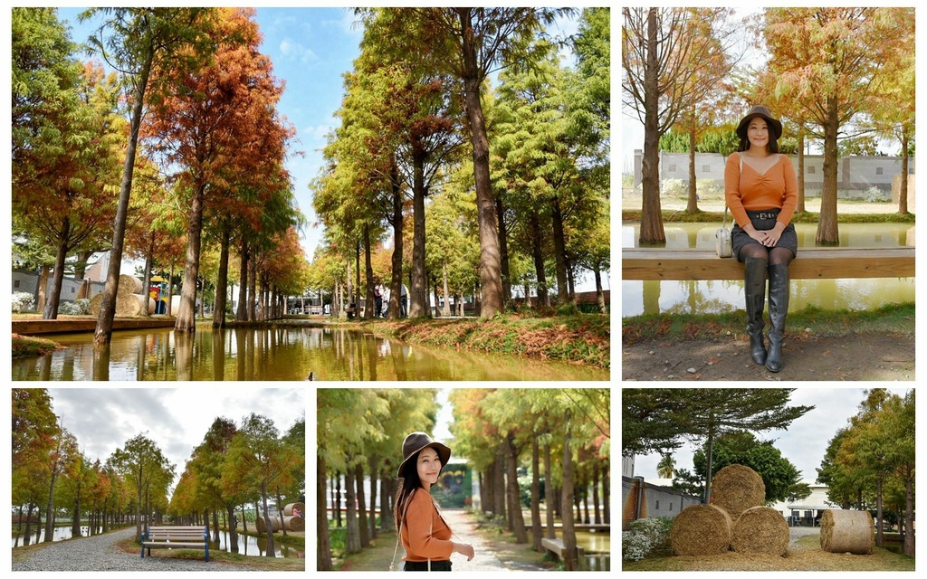 虎尾堀頭28落羽松秘境,落羽松園區,雲林旅遊,親子景點,自然景觀,落羽松大道,紅色拱橋,雲林,虎尾,堀頭28落羽松園區,落羽松,稻草捲