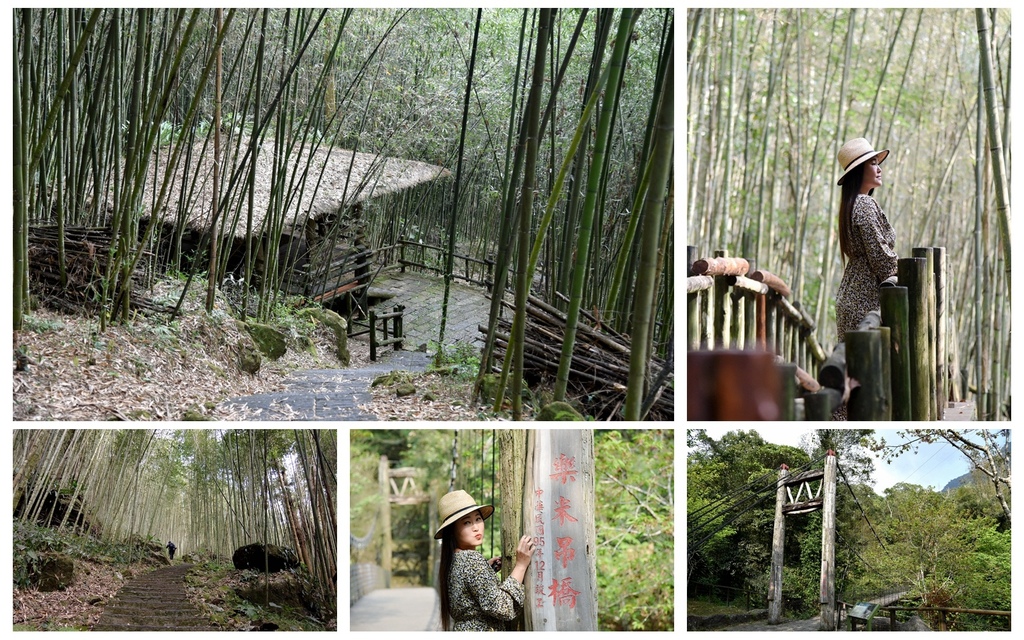 迷糊步道,米洋溪步道,樂米吊橋,百年茄苳巨木,阿里山鄉,竹林,阿里山國家風景區,嘉義,阿里山,茄苳巨木,步道,健行,大自然,自然步
