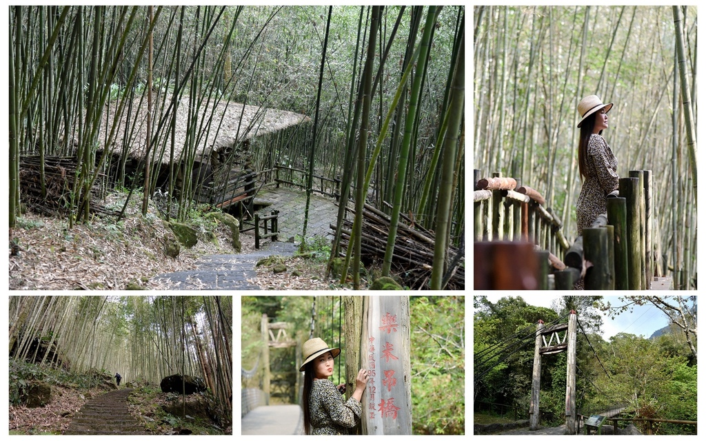 ,嘉義,阿里山鄉,阿里山,迷糊步道,米洋溪步道,樂米吊橋,茄苳巨木,步道,健行,大自然,自然步道,