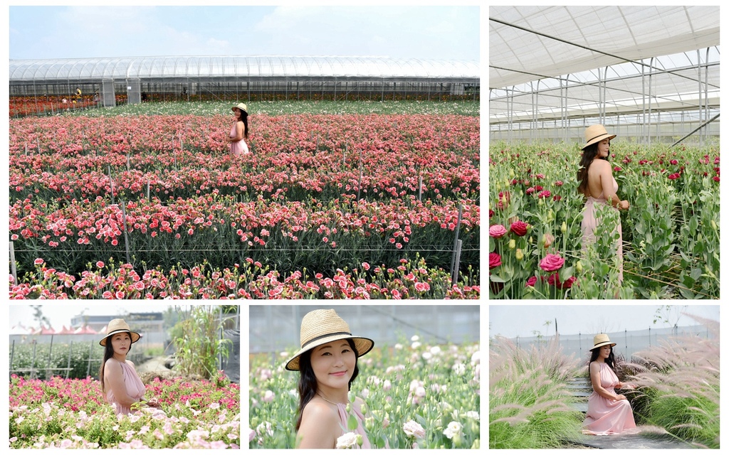董家花田,康乃馨花田,彰化田尾鄉,LOVE裝置藝術,摩艾石像,非洲菊花田,薰衣草步道,彰化,田尾,康乃馨,花海,花田,賞花,花季