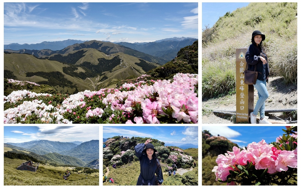 南投,仁愛,合歡山,合歡山東峰,石門山,百岳,賞花,杜鵑花,花季,小百岳,步道,登山,三角點,日出,花海,南投景點