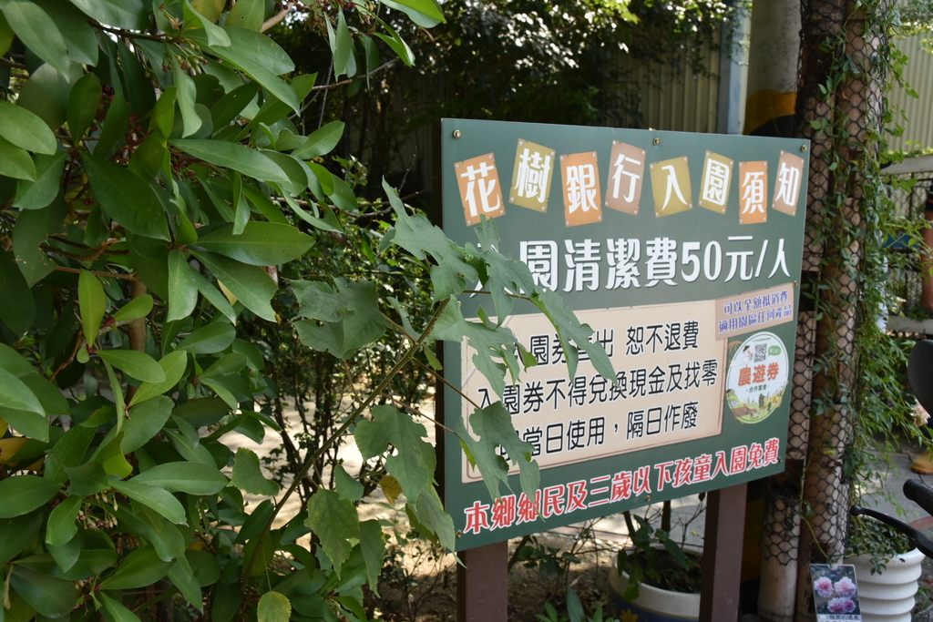 彰化大村鄉 花樹銀行花木共生全台最美銀行花樹銀行園區導覽雙心盆栽diy體驗居然還有全台最大彈珠台 西莉亞玩樂人生
