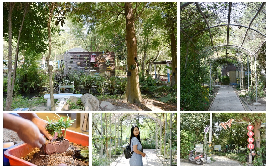 彰化大村鄉 花樹銀行花木共生全台最美銀行花樹銀行園區導覽雙心盆栽diy體驗居然還有全台最大彈珠台 西莉亞玩樂人生