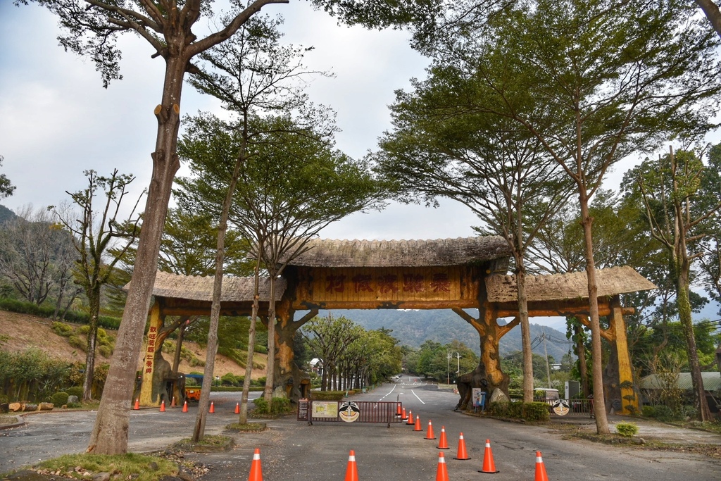 泰雅渡假村,高空繩索場,天空步道,泰雅皇宮主題飯店,森島之際藝術節,實境解謎遊戲,泰雅溫泉,南投,國姓鄉,懶人包,二日