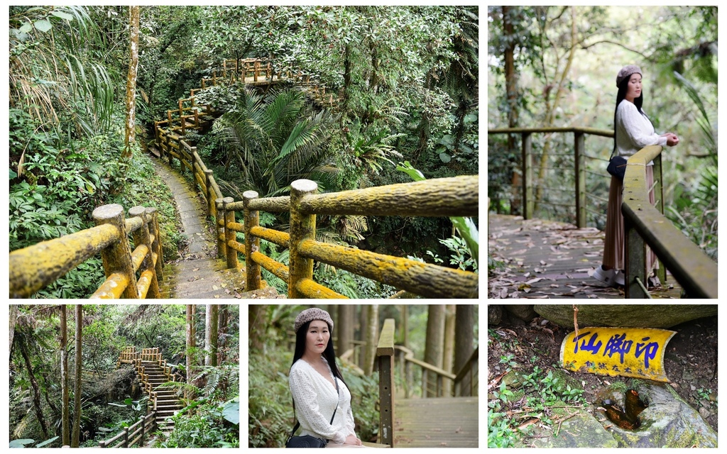 嘉義,梅山鄉,仙人堀杉林步道,步道,郊山步道,嘉義戶外休閒