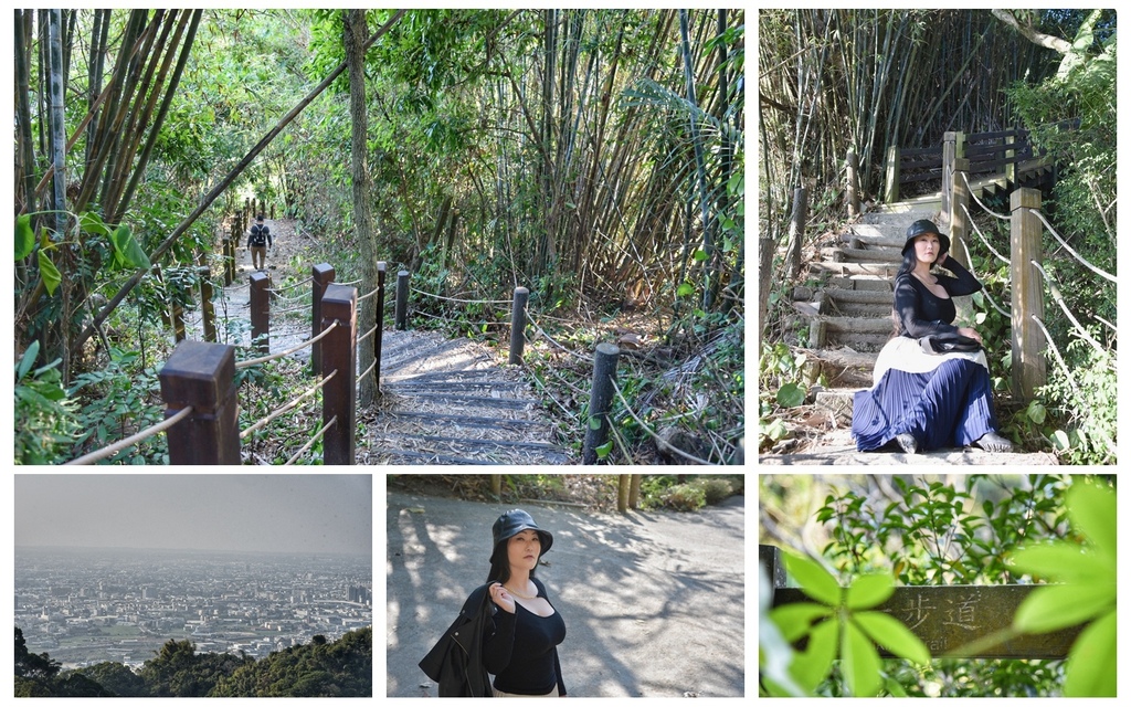 新田登山步道,台中,潭子區,聚興山,小百岳,觀景台,木棧階梯,步道,登山