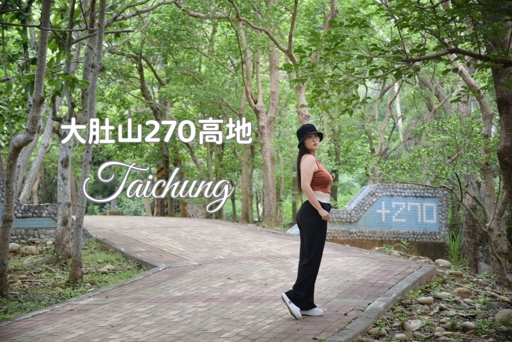 大肚山270高地,台中西屯區,木棧步道,檸檬桉樹,大自然,松鼠坡制高處,步道迷路,台中,大肚270高地,松鼠坡,台中科學園區,秘境,步道