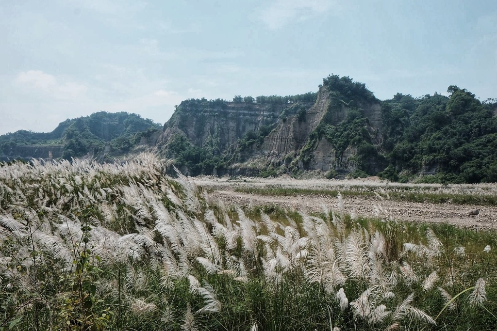 南投竹山鎮｜小黃山風景區