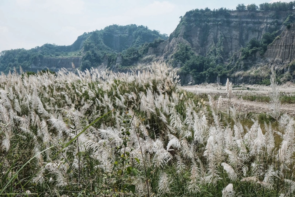 南投竹山鎮｜小黃山風景區