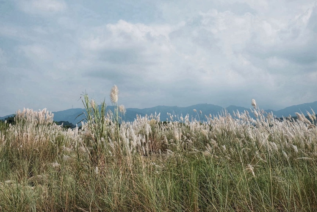 南投竹山鎮｜小黃山風景區