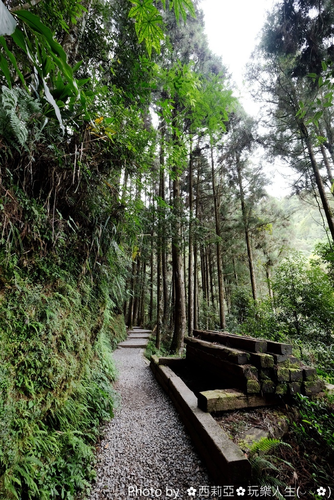 南投竹山一日遊景點推薦｜