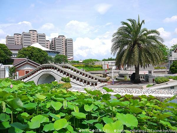 台中清水一日遊景點推薦｜精選12個台中清水景點攻略 自然生態