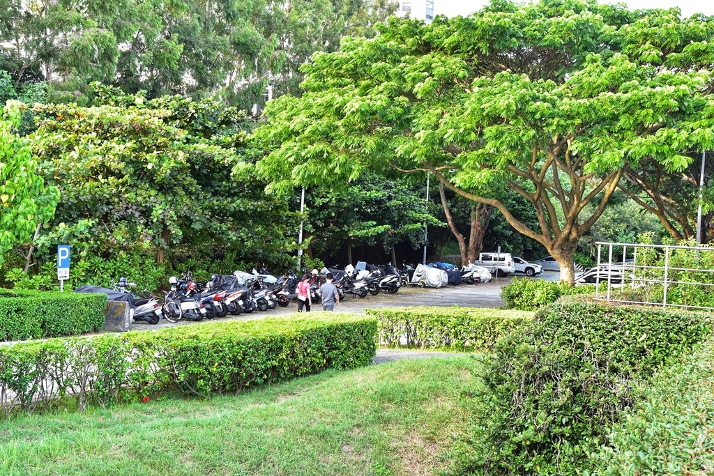 台中西屯區|中科水崛頭公園 3座滯洪池組合而成的祕境 TEA